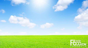 睿容空氣凈化器加盟指南 加盟費、官網(wǎng)、條件流程及政策支持解析